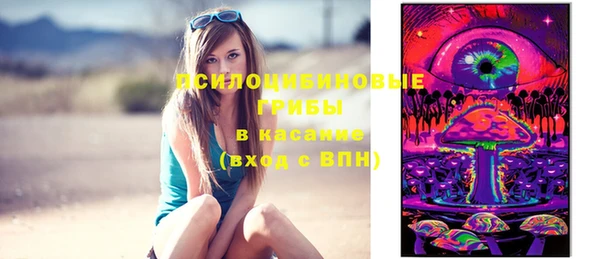 твердый Туринск