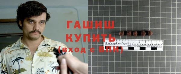 дмт Абаза