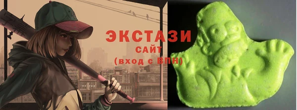 твердый Туринск