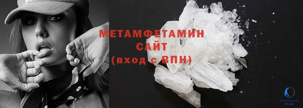ГАЛЛЮЦИНОГЕННЫЕ ГРИБЫ Кедровый