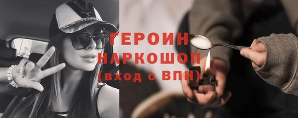 индика Кемь