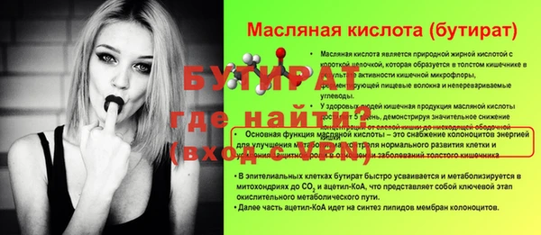 твердый Туринск