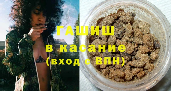 твердый Туринск