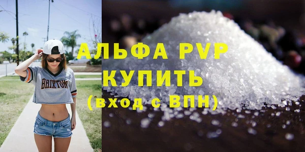 индика Кемь