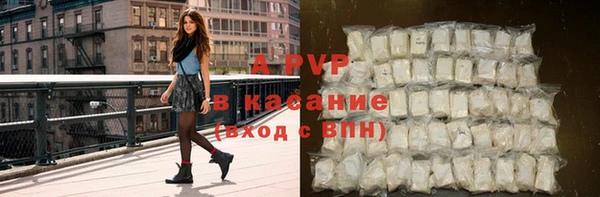 твердый Туринск