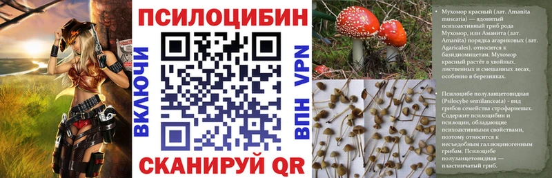 Псилоцибиновые грибы MAGIC MUSHROOMS  Гвардейск 